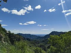 -大岭沟猕猴桃谷风景区
