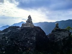 -天目山大树王景区