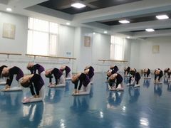 -西安小天鹅艺术团(金花路校区)