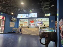 -飞览天下沉浸式飞行体验(北京旗舰店)