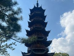 -龙华素斋(龙华路店)