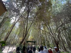 -艾提尕尔清真寺