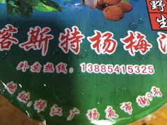 -喀斯特杨梅汤(荔波美食街店)