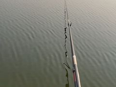 -洨河生态公园