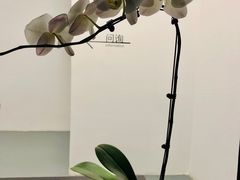 -知美术馆