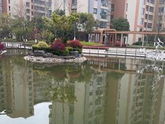 -梧桐人家中国太平国际健康颐养社区