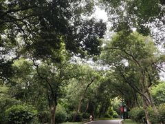 -广州市白云山风景名胜区