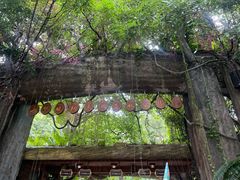 -西双版纳原始森林公园