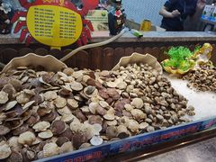 -九寸花汀(摩天活力城店)
