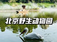 -北京野生动物园