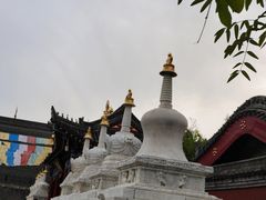 -西安市广仁寺