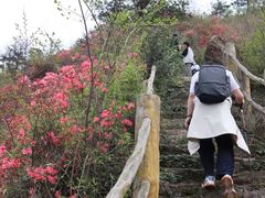 -木兰云雾山