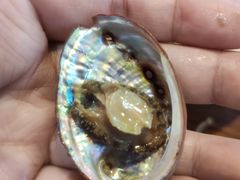 -尺山寸水日料(马桥满天星店)
