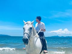 -玫瑰海岸文化旅游度假区