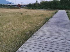 -门城湖公园