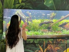 -海合安成都极地海洋公园