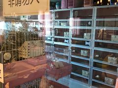 -藦茜花园宠物主题亲子互动体验馆(国顺东路店)