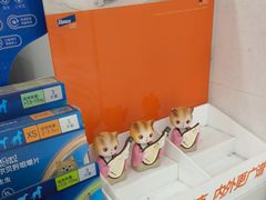 -瑞鹏·疫苗·绝育·宠物医院(广九店)
