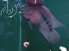 -大明湖海底世界