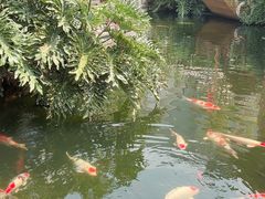 -香麒园·过桥米线·南湖雅宴