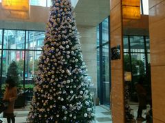 -上海龙之梦万丽酒店