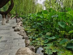 -莲湖公园