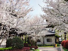 -上海皇廷花园酒店·西餐厅·自助餐