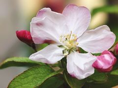 -创艺无限·赵春香微妙艺术馆