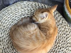 -星巴克臻选(北京前门大街店)