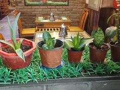 -李二鲜鱼(水晶店)