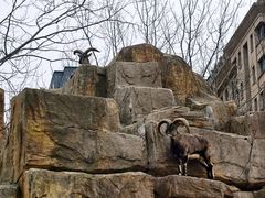 -大连森林动物园