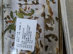 -无锡城中皇冠假日酒店·芳园中餐厅