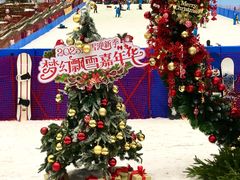-广州热雪奇迹