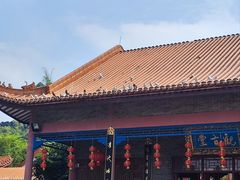 -顺峰山公园