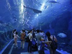 -成都浩海立方海洋公园