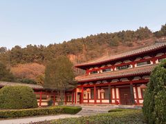 -徐州汉画像石艺术馆