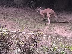 -北京野生动物园