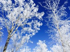-亚布力新体委滑雪场