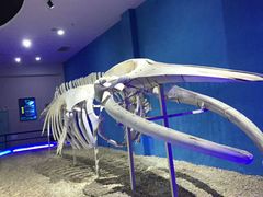 -福州罗源湾海洋世界旅游区