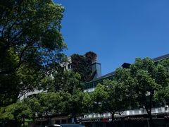 -杭州师范大学附属医院(杭州总院)