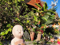 -西双版纳傣族园