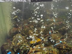 -蟹之国·精品蟹料理(极地店)