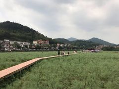 -红山村
