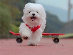 -合肥蜀山万象汇