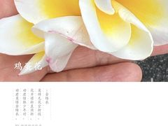 -巽寮湾