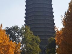 -玲珑塔公园