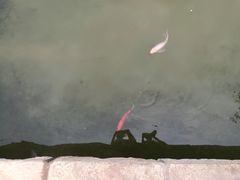 -春风习习