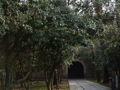 -灵谷景区