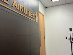 -新加坡航空公司(ION)