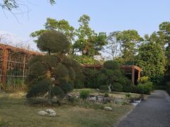 -广东茂名森林公园